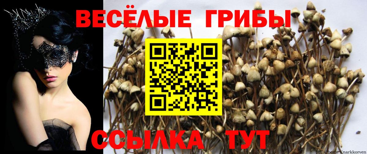 Псилоцибиновые грибы ЛСД Сунжа